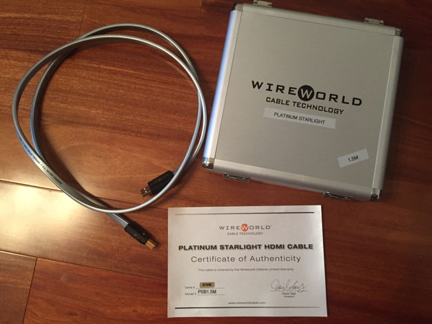 Wireworld Platinum Statement  USB 1.5m Excellent Condition