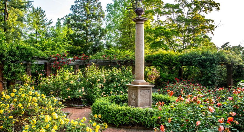 Gardener's Focus Tour | Rose Garden