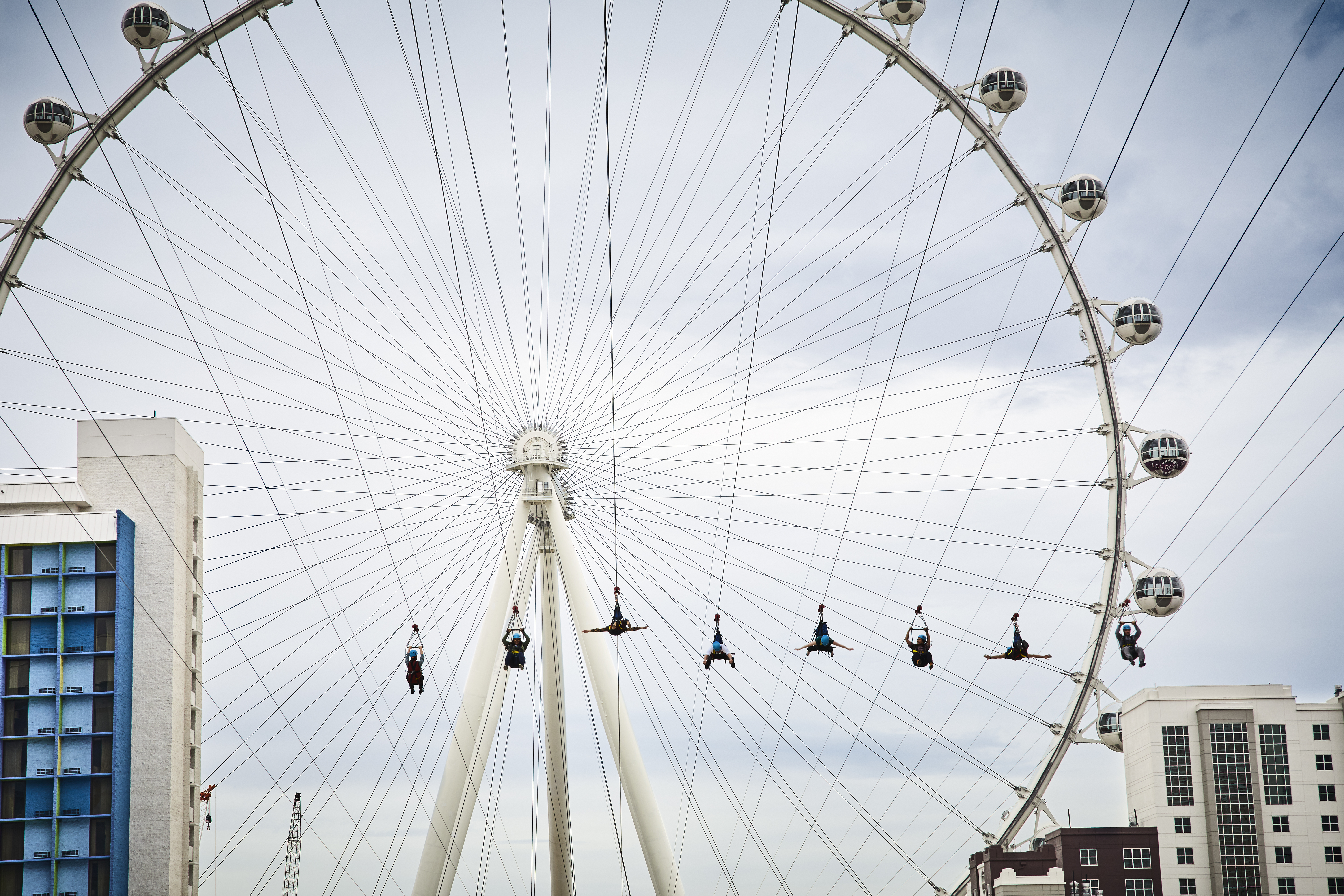 FLY LINQ Uploaded on 2022-01-30