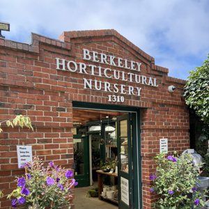 Berkeley Horticultural Nursery