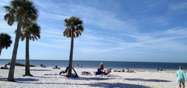 Tampa Bay Motorcycle Guided Tour near Tampa, FL