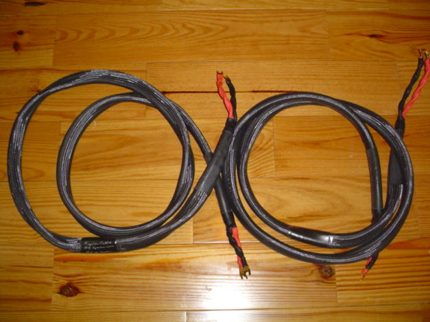 Kaplan Cables GS Speaker Cable 8 Ft pair Spades