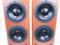 Dynaudio Focus 360 Floorstanding Speakers Cherry (3383) 11
