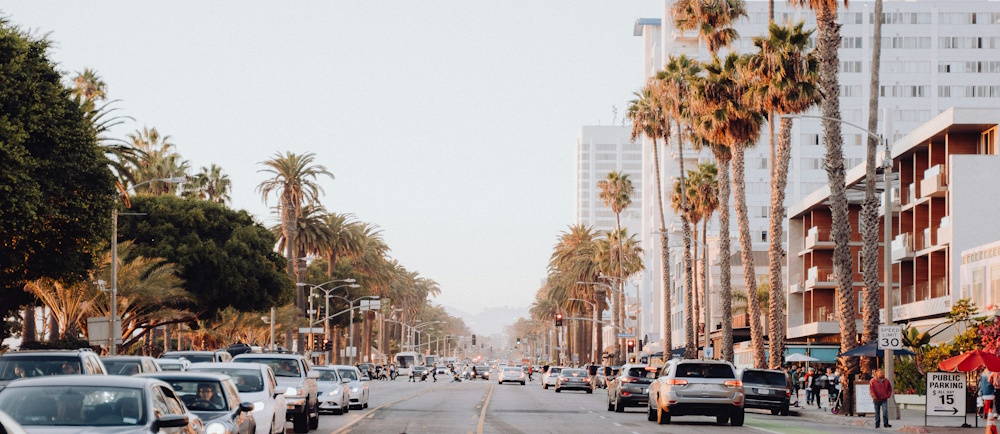 Downtown santa monica street with palm trees