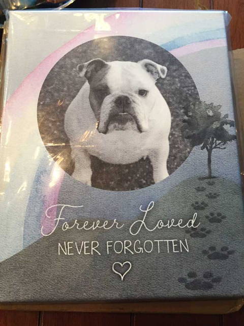 English bulldog personalized canvas print with photo