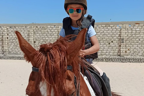 Прогулки на лошадях в Хургаде для новичков и опытых всадников.