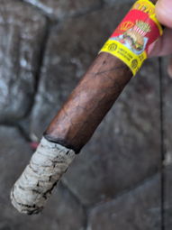 Nice ash
