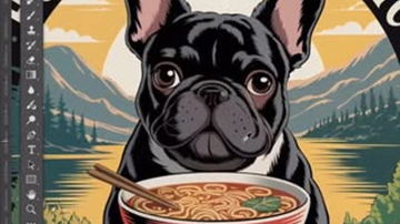 Main Content Image