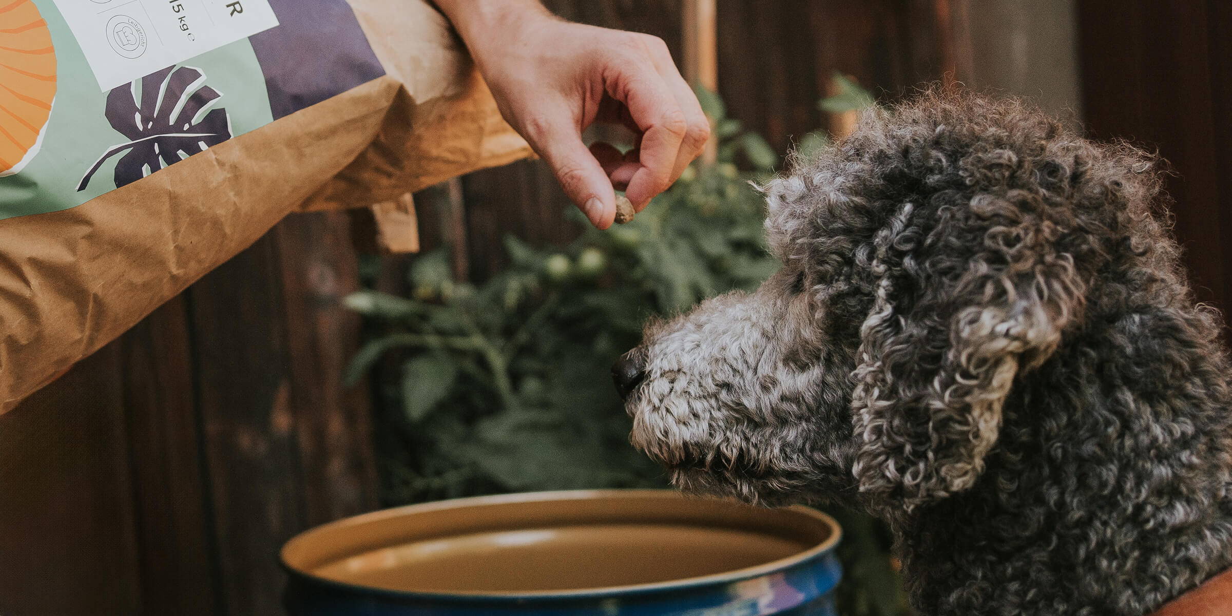 Zwei Hunde fressen Ofrieda Hundefutter