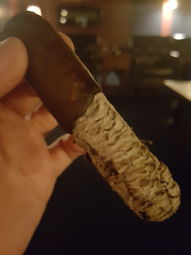 Cigar Session Photo