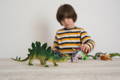 Preschooler playing with dinosaur toys.