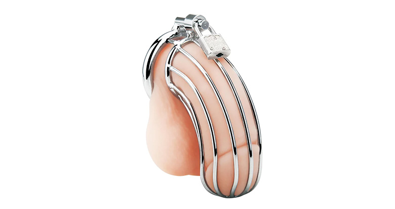 Prisoner Chastity Cock Cage with Lock (Stainless Steel)