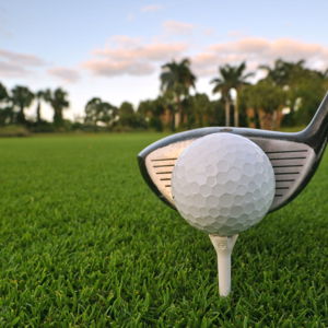 18 Holes on Honeymoon