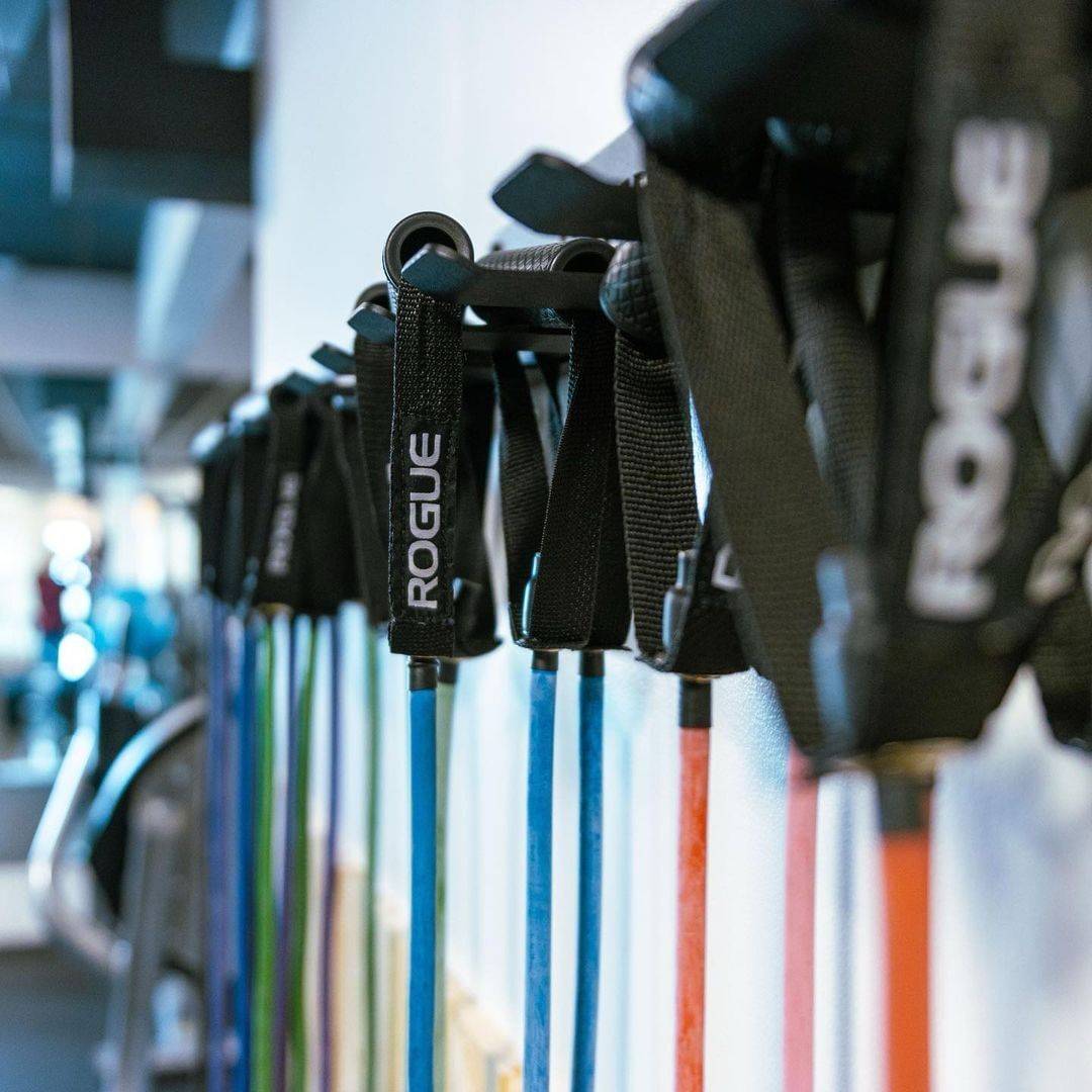 ROGUE Tube Bands instagram ROGUE Tube Bands instagram