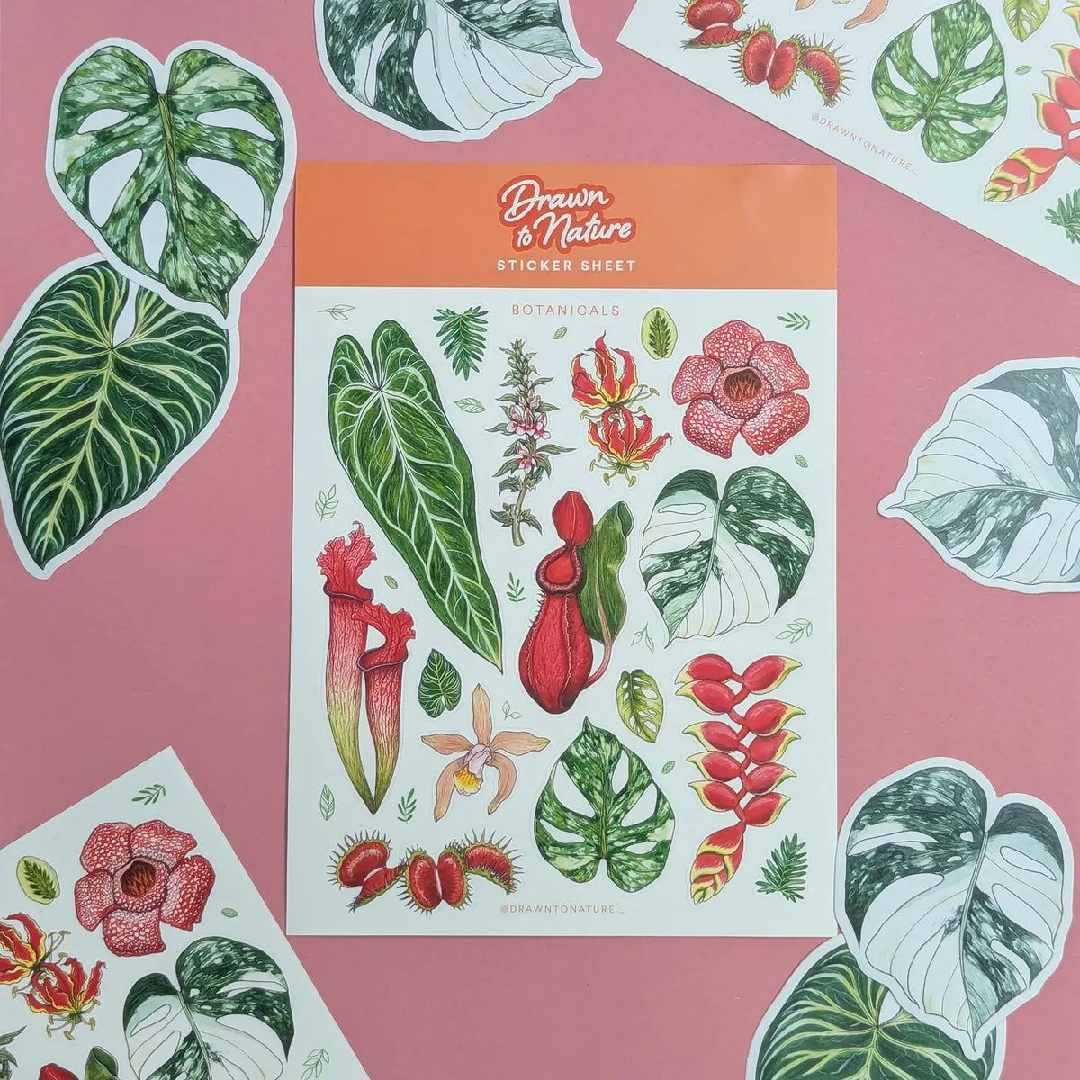 Drawn to Nature - Botanicals Sticker Sheet – Little Craft Place