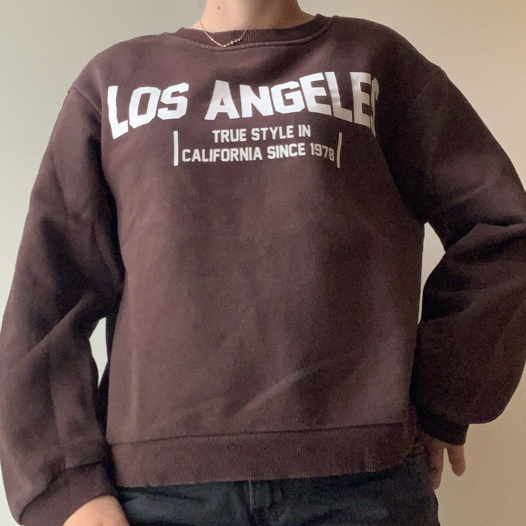 brown “Los Angeles” Sweater from Zara