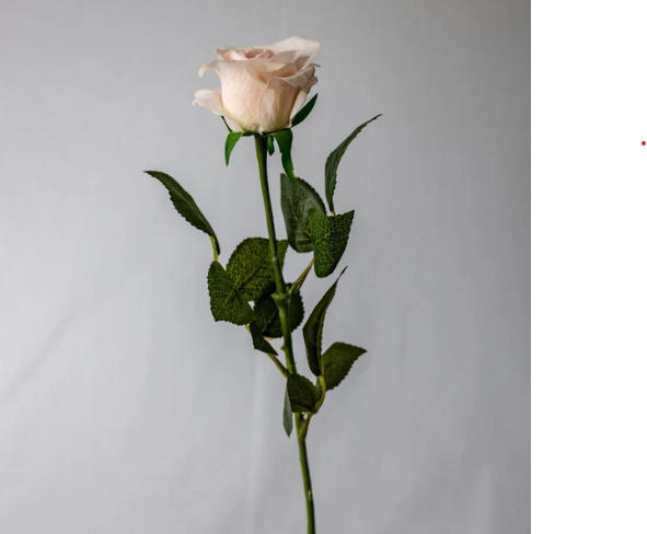 Light Pink Real Touch Half Bloom Rose - Realistic Artificial Flowers - Image 3