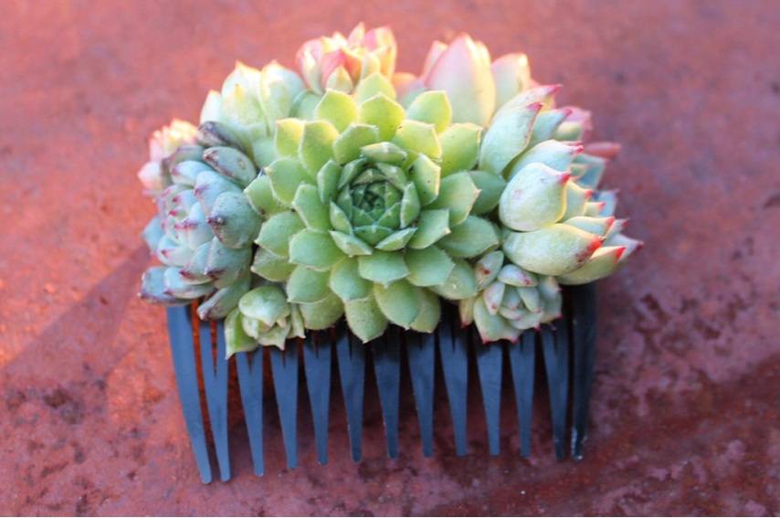 succulent comb bridal bride wedding