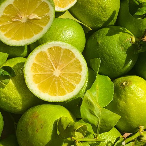 citron-verdelli