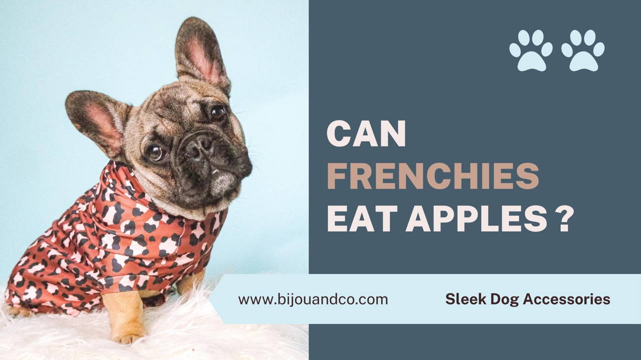 can french bulldogs eat apple