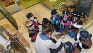 naturkundemuseum kleine piraten schatzsuche