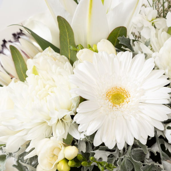 Neutral Posy In A Bag_flowers_delivery_interflora_nz