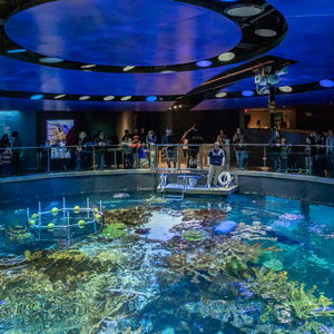 Boston Aquarium Ticket#1- 1 Adult