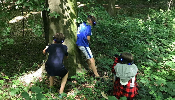 kinder versteckt im grünen