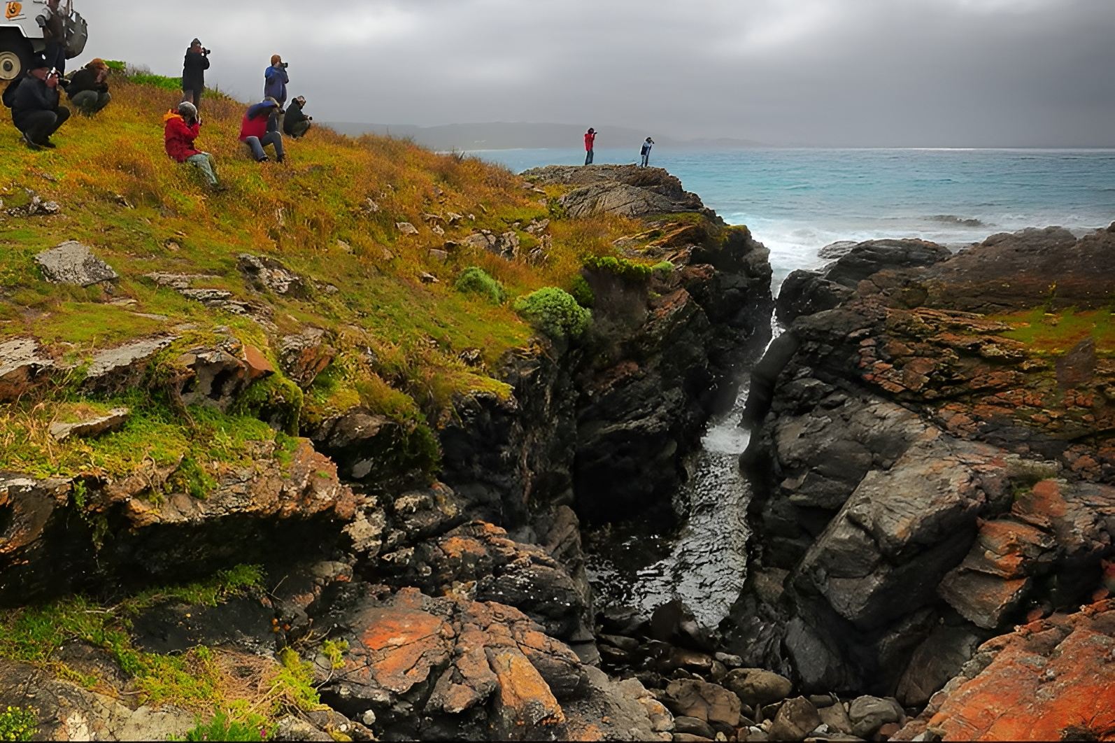 King Island Tours Voucher - Image 9