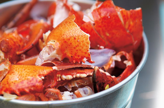 Fond de homard