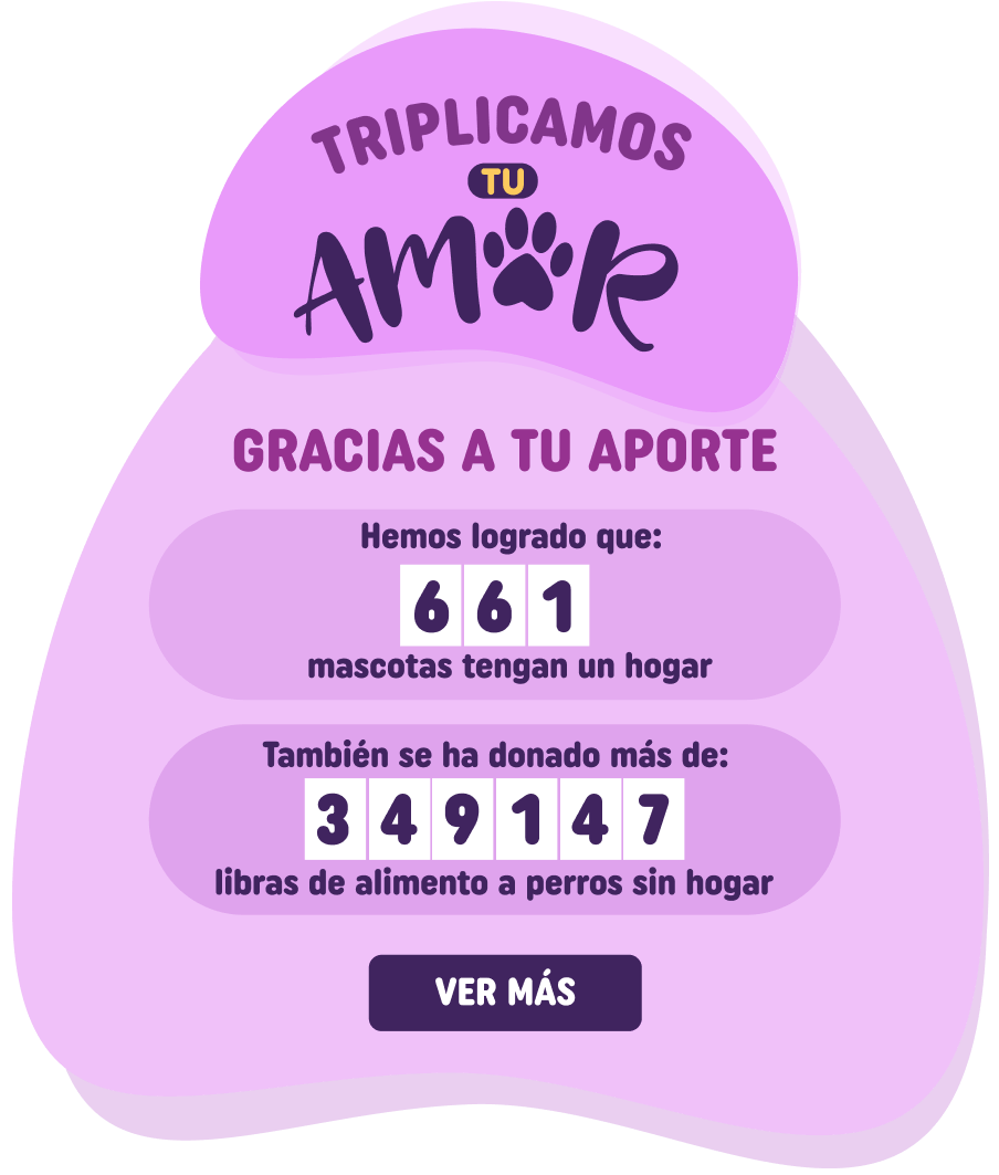 Donaciones - Duplicamos tu amor