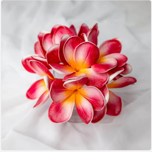 Red Orange Frangipani Flowerhead (6 Pack) - Realistic Artificial Flowers - Image 3