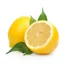 Thé Matcha Citron