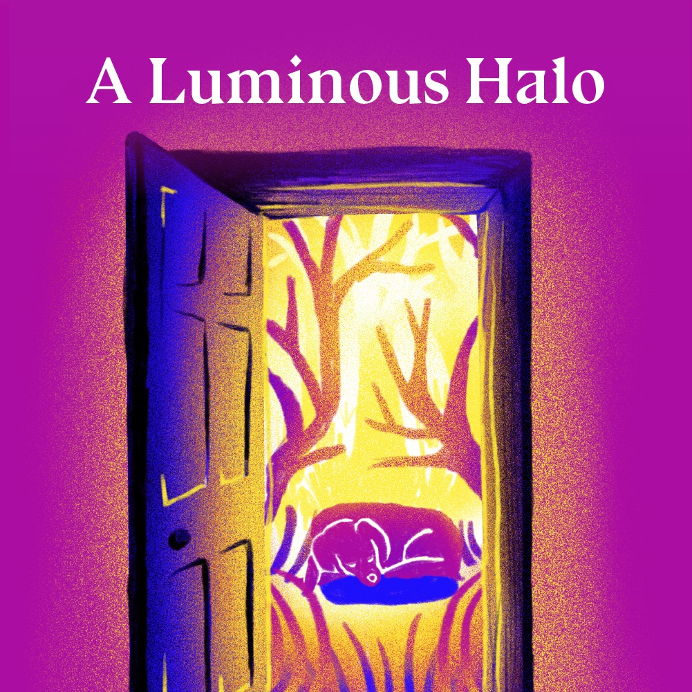 A Luminous Halo: Selected Writings by Virginia Woolf