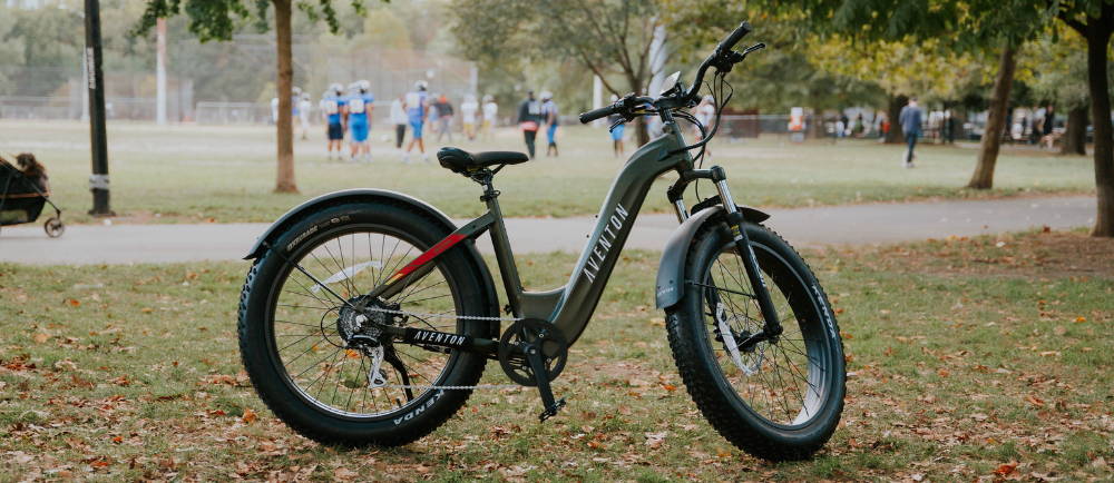 Aventon Aventure e-Bike in park
