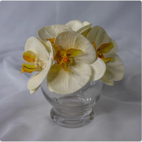 White and Yellow Phalaenopsis Flowerhead (6 Pack) - Realistic Artificial Flowers - Image 3