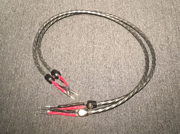 Wireworld Silver Eclipse 7 2M Speaker Cables @ 50% Off!