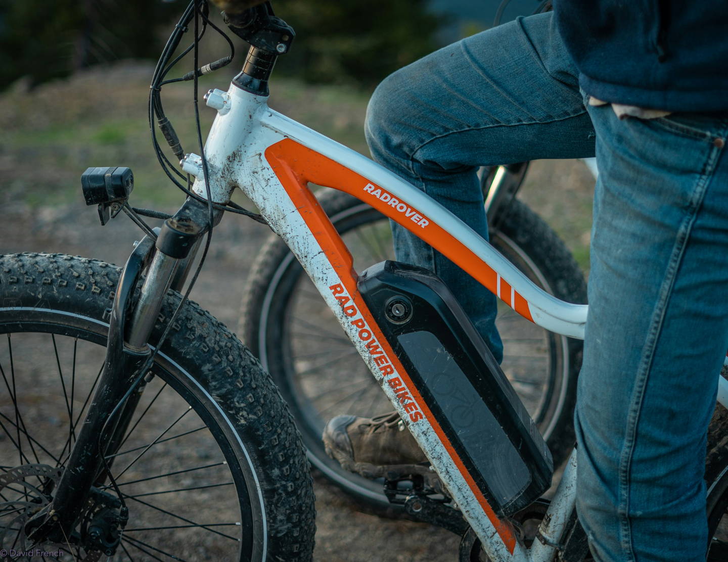 mountain bike elettrica