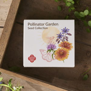 Pollinator Garden Seed Set