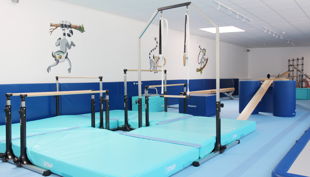 dayo gym geraete