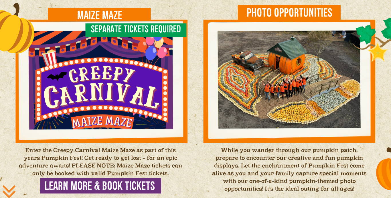Discover the biggest and best pumpkin festival in Devon & Cornwall, and South West! Pumpkin Fest at Strawberry Fields is the ultimate family day out with a huge pumpkin patch, pumpkin picking, maize maze, barrel train rides, photo spots, tasty autumn treats & fun for all ages. Book now!