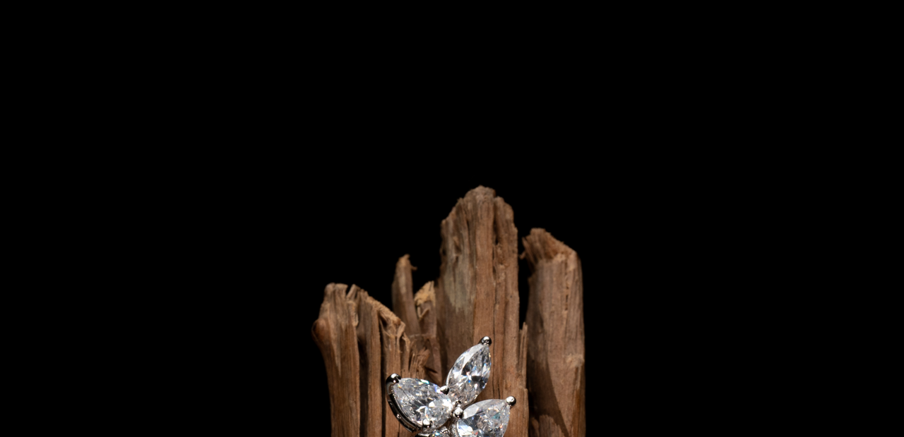 Premium Jewellery Photography In Kolkata: Project ‘Artsifee’