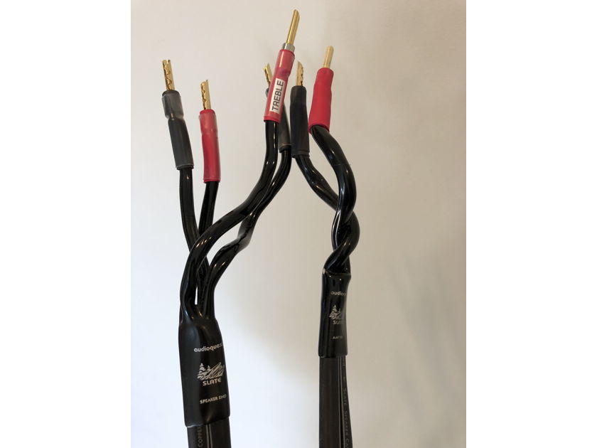 AudioQuest Slate - 12' PAIR bi-wire (bananas)