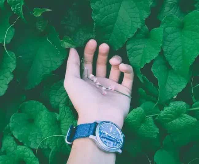 6 Free and Easy Ways to Take Control of Your Health and Wellbeing Now