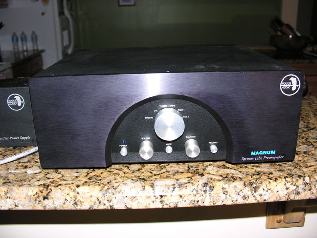 Rogue Magnum 66 phono preamp