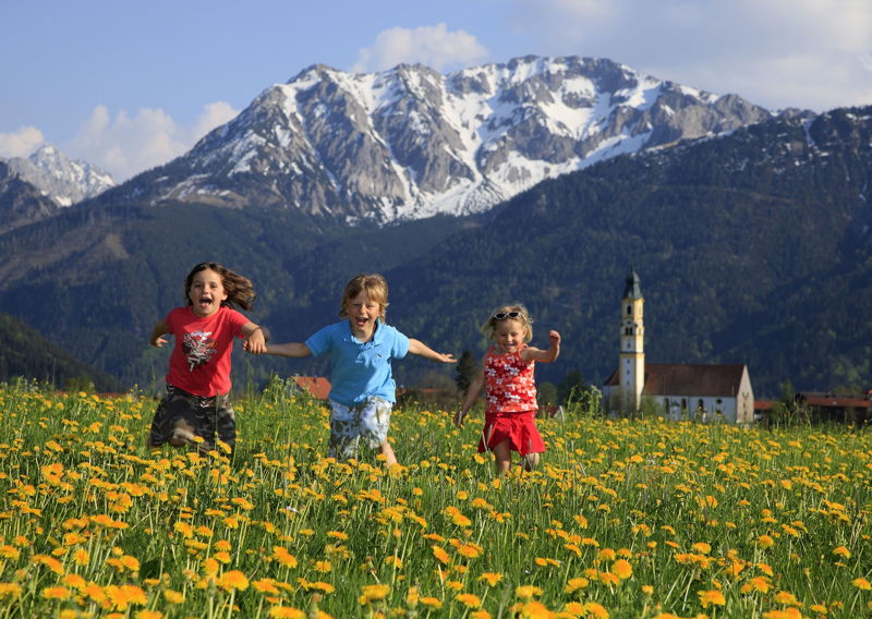 Toben über Blumenwiesen in Pfronten im Allgäu