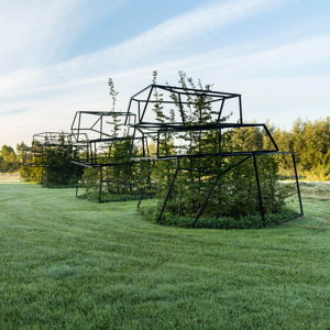 Private Garden Tour