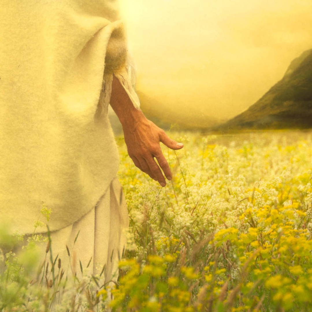 Jesus walking through a field of lilies, his hands brushing across the flowers.