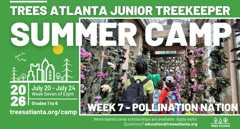 Junior TreeKeeper Summer Camp 2026 - Pollination Nation