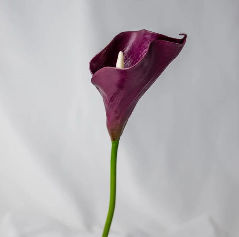 Aubergine Mini Calla Lily - Realistic Artificial Flowers - Image 3